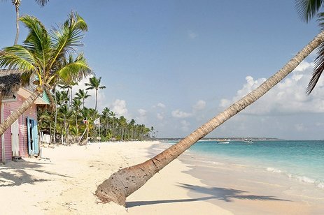 Sonniger Strand in Punta Cana, umgeben von Palmen und klarem Meer.